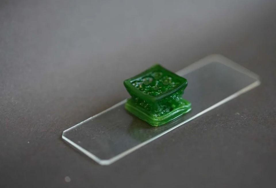 屏幕截圖 2025-08-15 103523.jpg