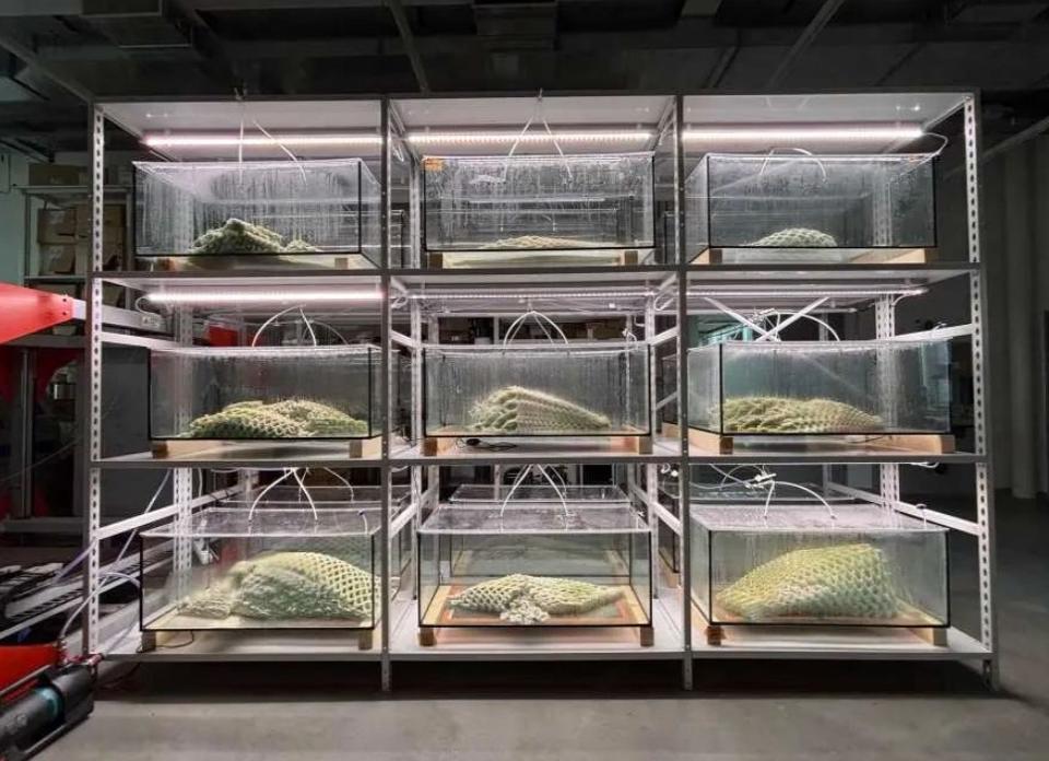 屏幕截圖 2025-08-15 103541.jpg