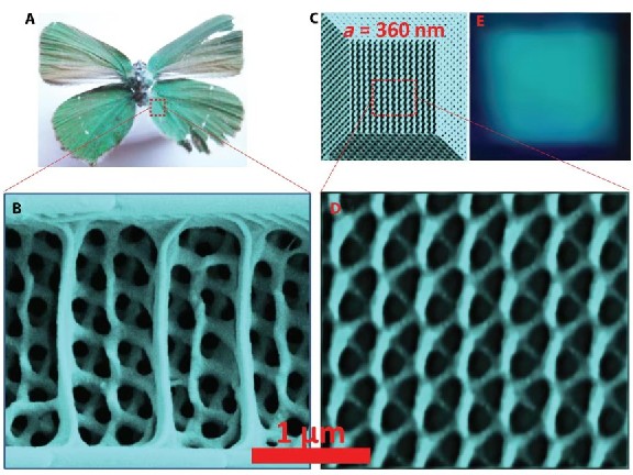 屏幕截圖 2025-09-28 092501.jpg