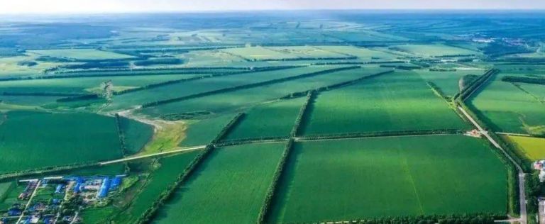 电力护航黑土地 黑龙江保秋粮烘干加工用电