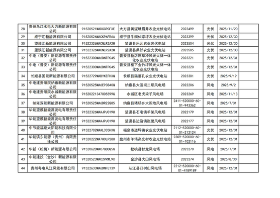 附件：贵州省2025年新能源增量项目竞价清单（发布版）_03.jpg