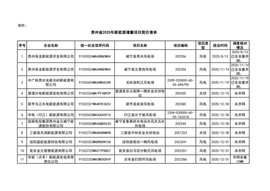 附件：贵州省2025年新能源增量项目竞价清单（发布版）_01.jpg