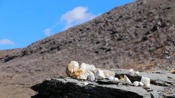 _津巴布韦进出口贸易_柬埔寨木炭出口禁令