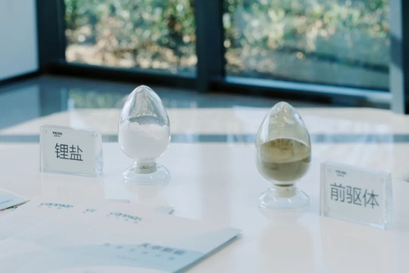 柬埔寨木炭出口禁令_津巴布韦进出口贸易_